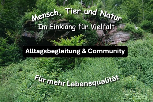 Wald
